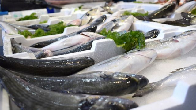 Cuban Farm-raised and Wild-caught Aquatic Products Allowed to be Exported into China