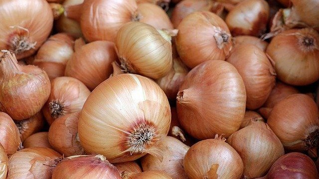 Pakistan Onion approved to be exported to China